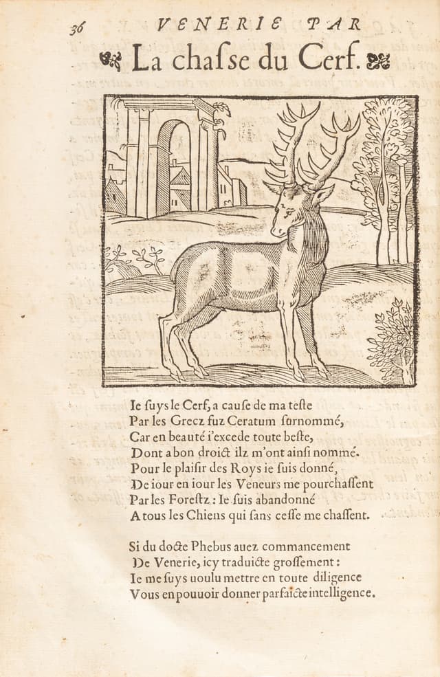 La Vénerie. Poitiers, 1561. Reliure du XVIIe. Rarissime édition originale.
